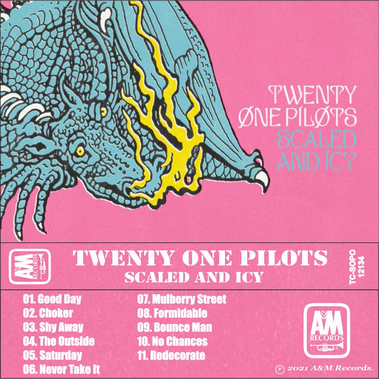 Twenty One Pilots-Scaled And Icy